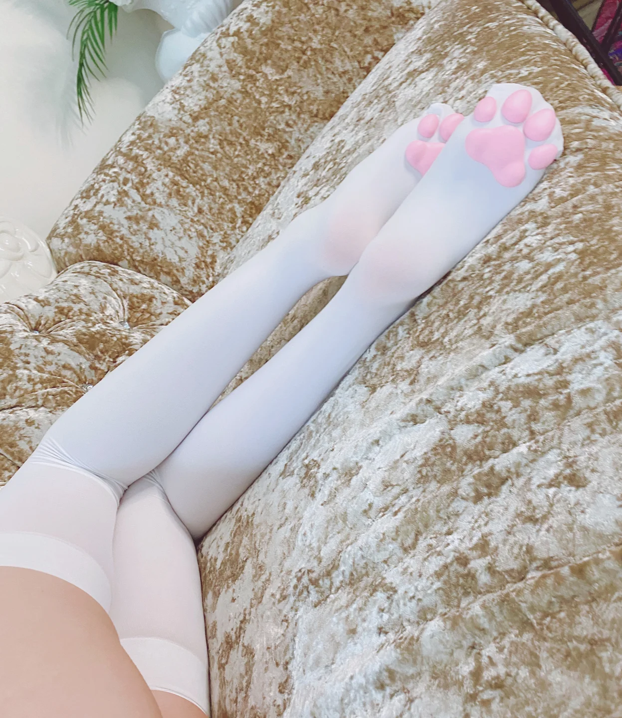 起司块wii - 丝足系列白丝+猫爪 [40P,2V-488MB]